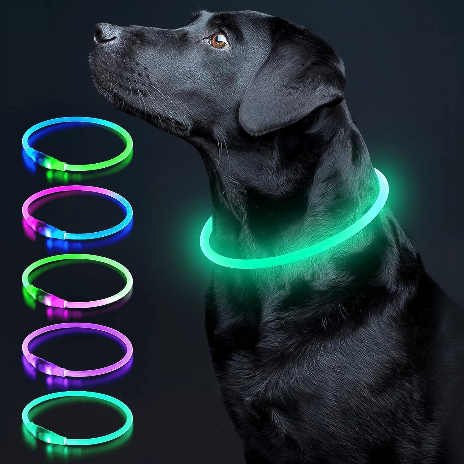 USB Rechargeable LED Dog Collar - Glow Safety Collar for Large, Medium, and Small Dogs (Cyan)