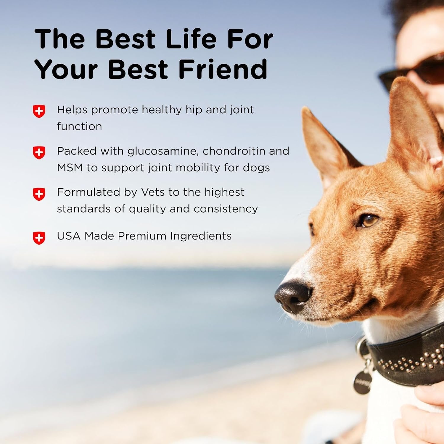 Advanced Hip and Joint Chewable Supplements for Dogs - Enhanced with Glucosamine and Chondroitin for Cartilage and Mobility Support - 300 Tablets