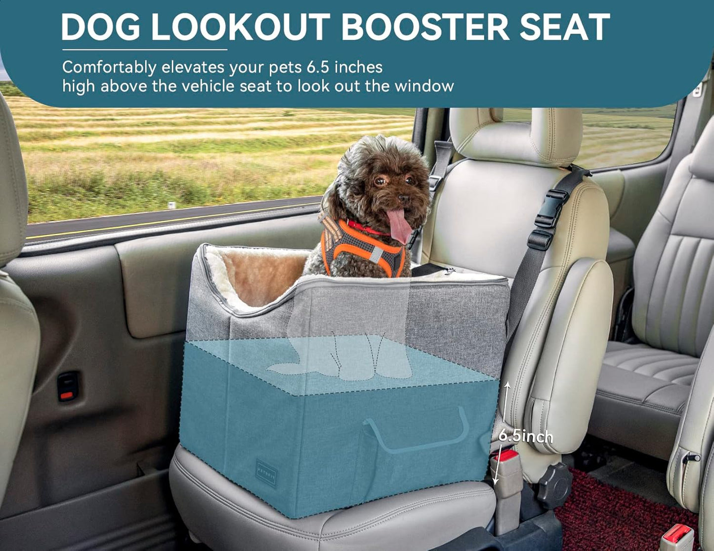 Small Dog Car Seat Booster with Safety Belt, Washable Double-Sided Cushion, and Storage Pocket for Small Pets (Light Grey)