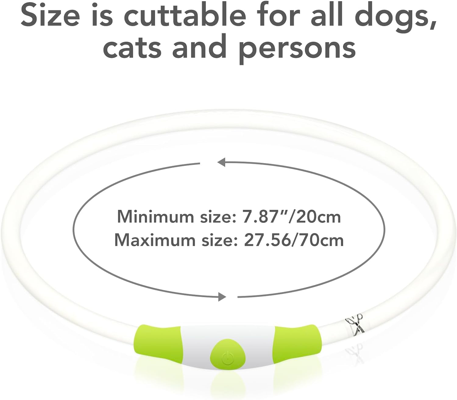 USB Rechargeable LED Dog Collar - Glow Safety Collar for Large, Medium, and Small Dogs (Cyan)