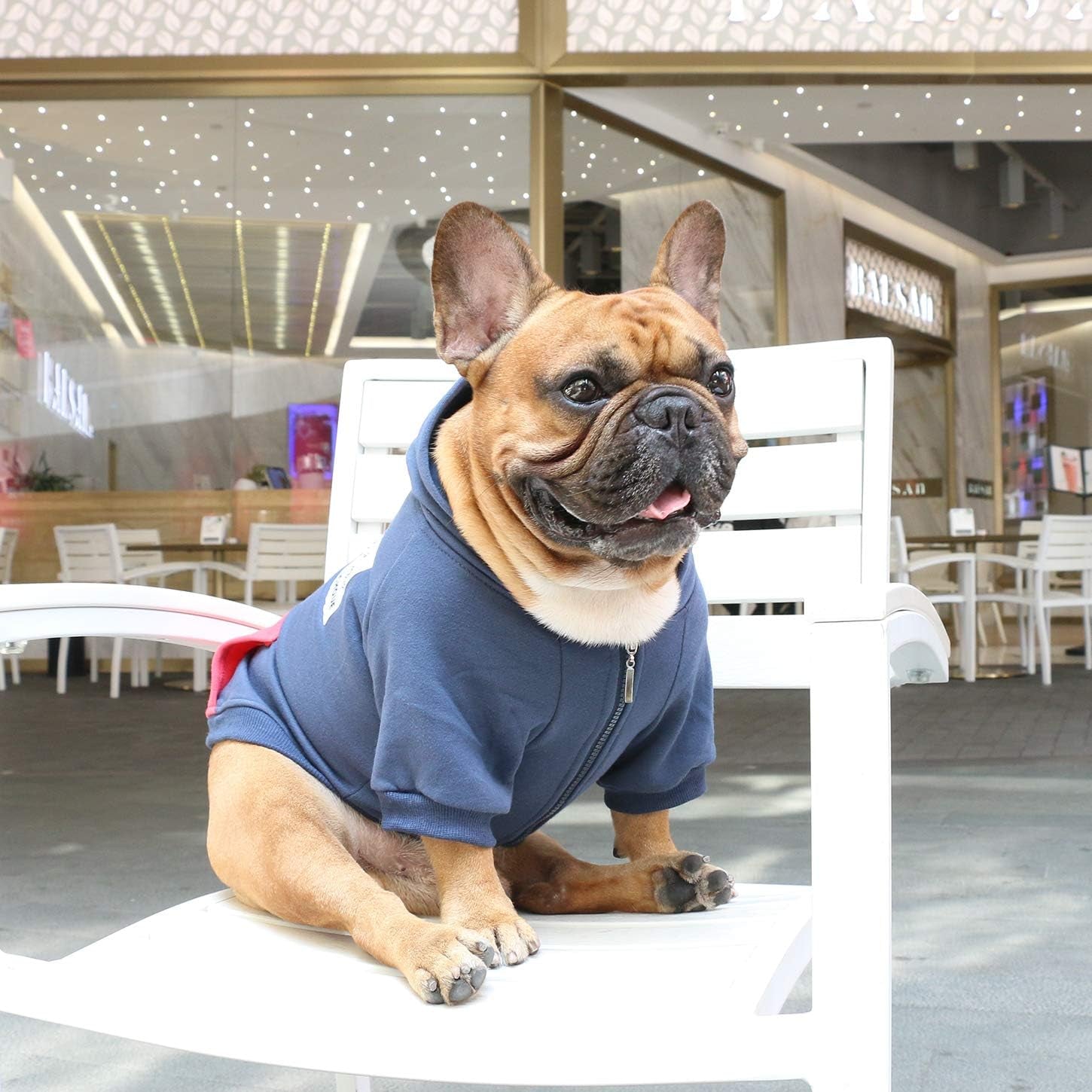 French Bulldog Apparel: Hoodies and Sweatshirts for Dogs - Suitable for Frenchies, Pugs, English Bulldogs, Boston Terriers, Pitbulls - Navy, Medium Size - Winter Coats for Cold Weather