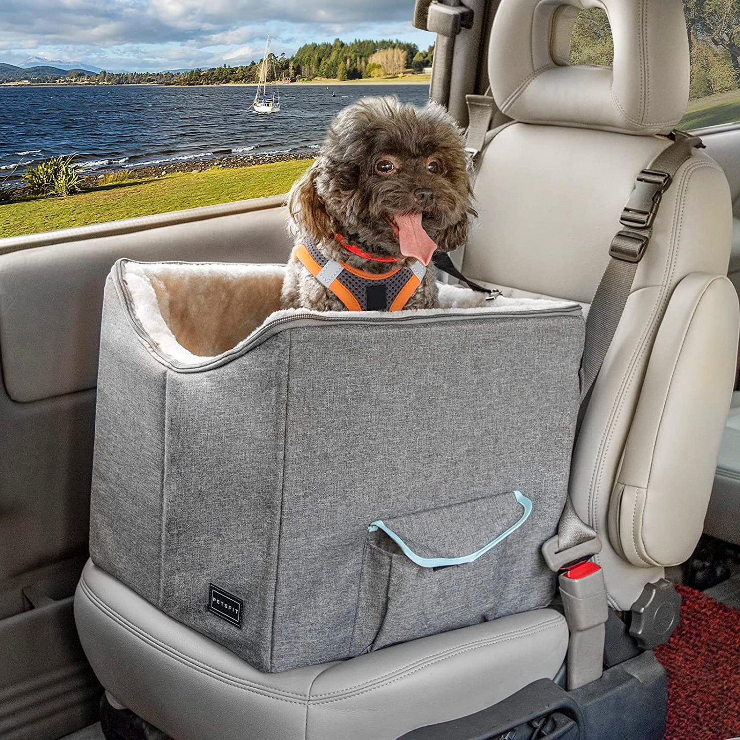 Small Dog Car Seat Booster with Safety Belt, Washable Double-Sided Cushion, and Storage Pocket for Small Pets (Light Grey)