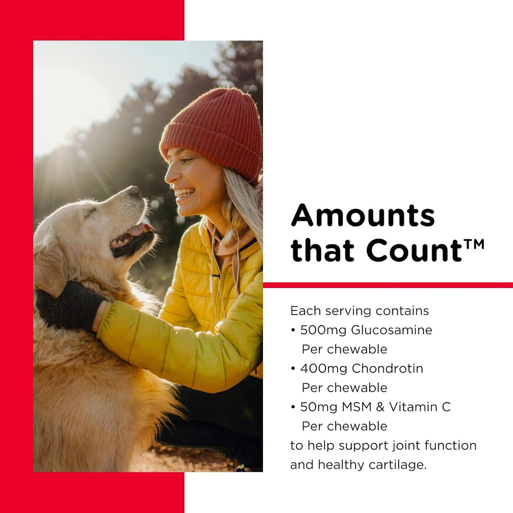 Advanced Hip and Joint Chewable Supplements for Dogs - Enhanced with Glucosamine and Chondroitin for Cartilage and Mobility Support - 300 Tablets