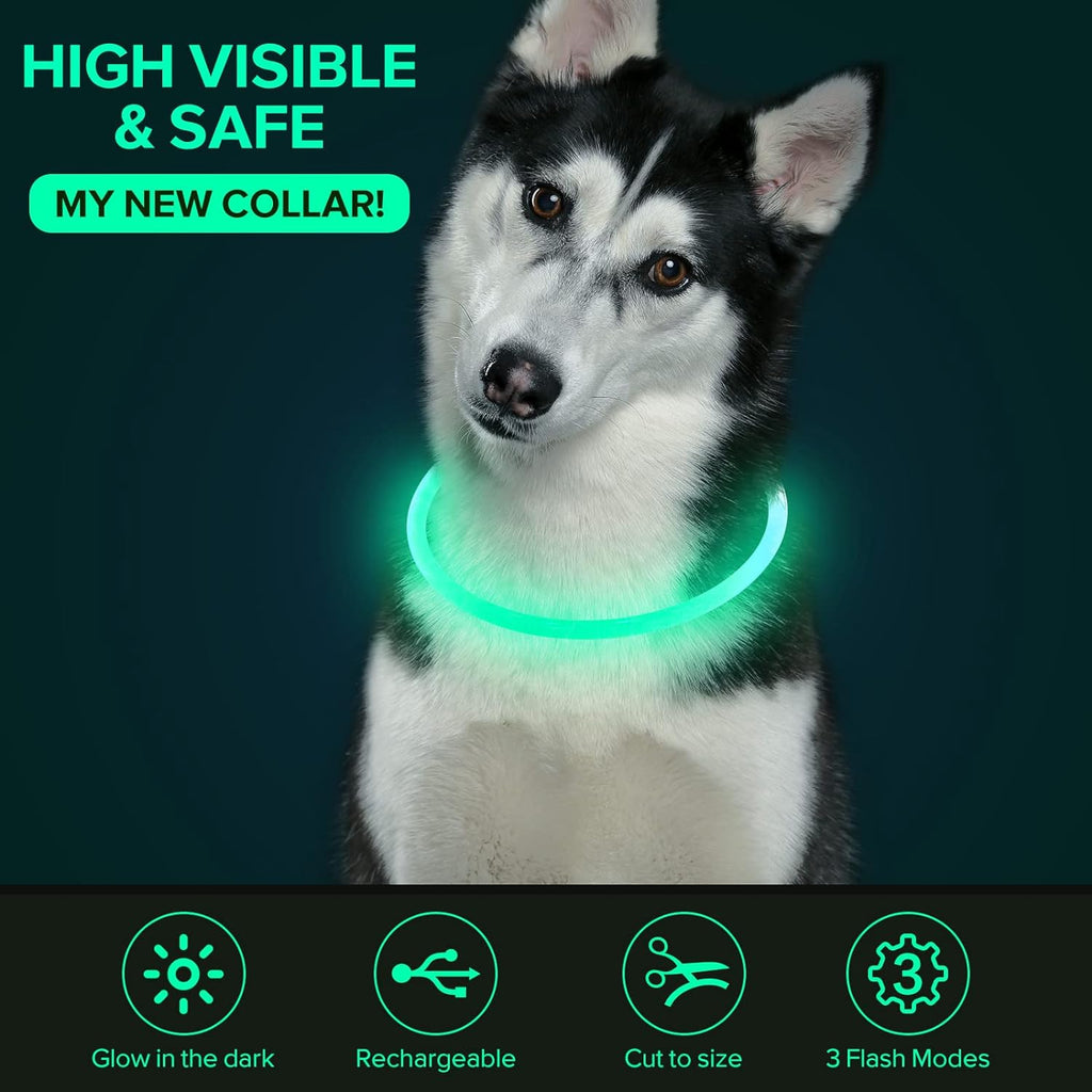 USB Rechargeable LED Dog Collar - Glow Safety Collar for Large, Medium, and Small Dogs (Cyan)