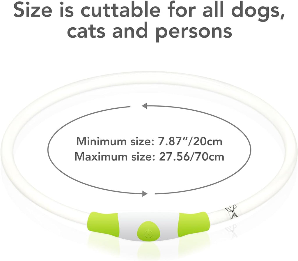 USB Rechargeable LED Dog Collar - Glow Safety Collar for Large, Medium, and Small Dogs (Cyan)