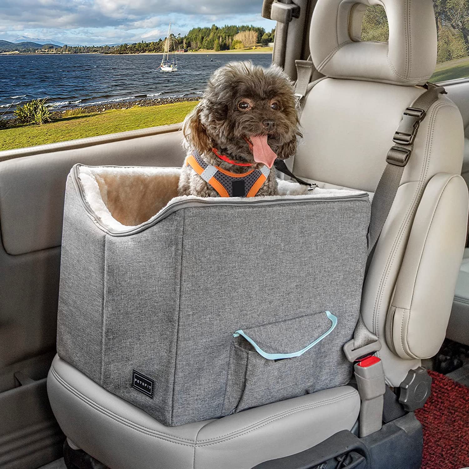 Small Dog Car Seat Booster with Safety Belt, Washable Double-Sided Cushion, and Storage Pocket for Small Pets (Light Grey)